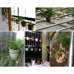 tbd0423752901a 5.jpg