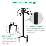 tbd0599237501 b2.jpg