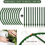 tbd0602593301 b3.jpg