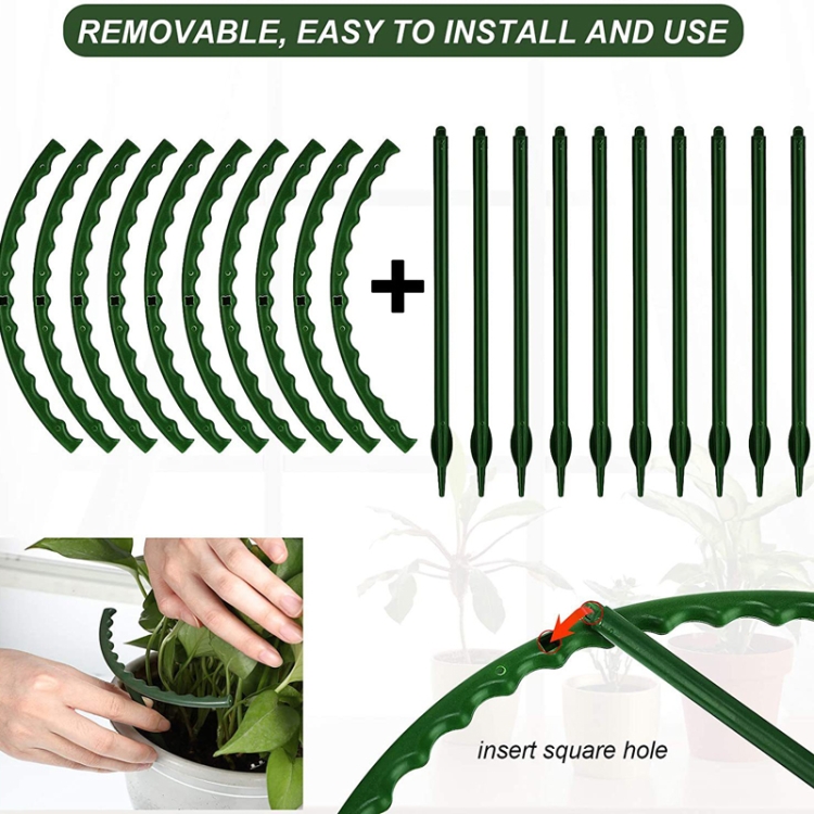 tbd0602593301 b3.jpg