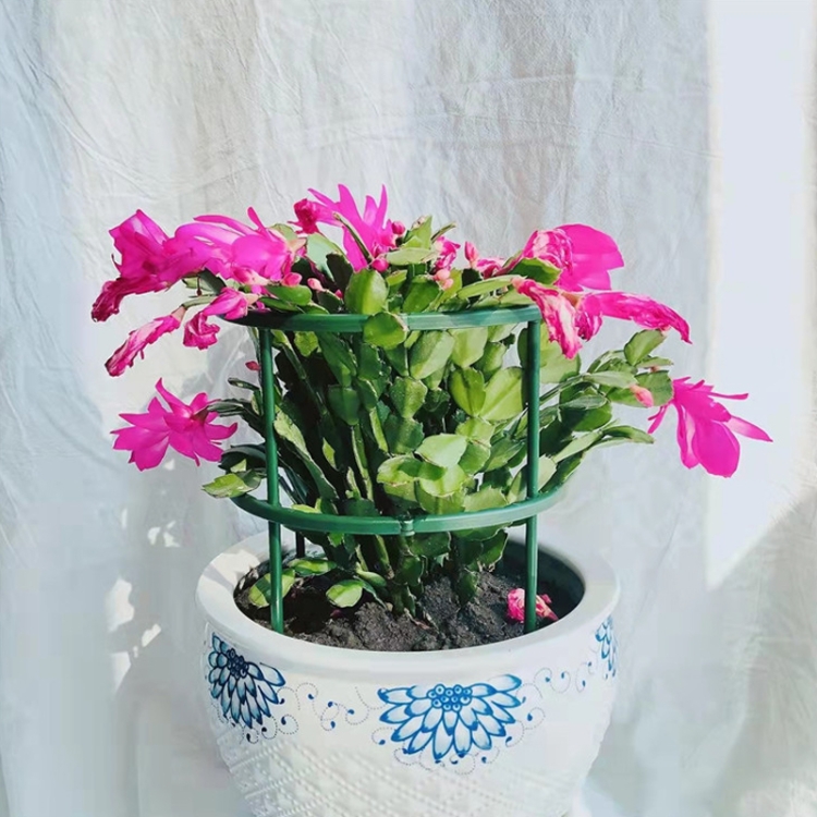 tbd0602593301 b4.jpg