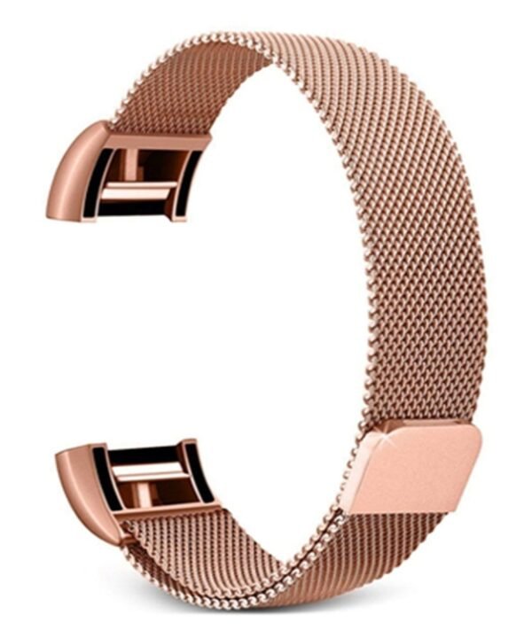 Smart Watch Stainless Steel Watch Band for FITBIT Charge 2, Size: S, Size: S
