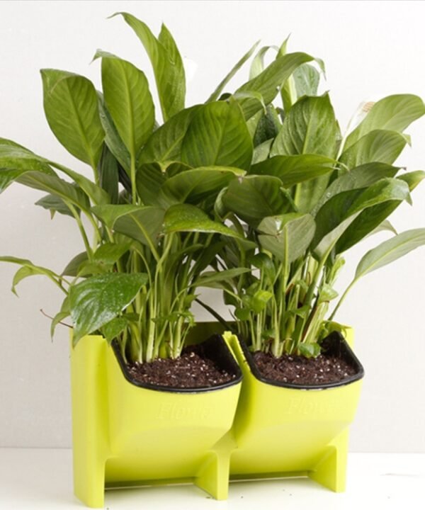 Plant Wall Vertical Indoor and Outdoor Balcony Wall-mounted Flower Pots Creative Combination of Resin Plastic Flower Pots with Removable Pot