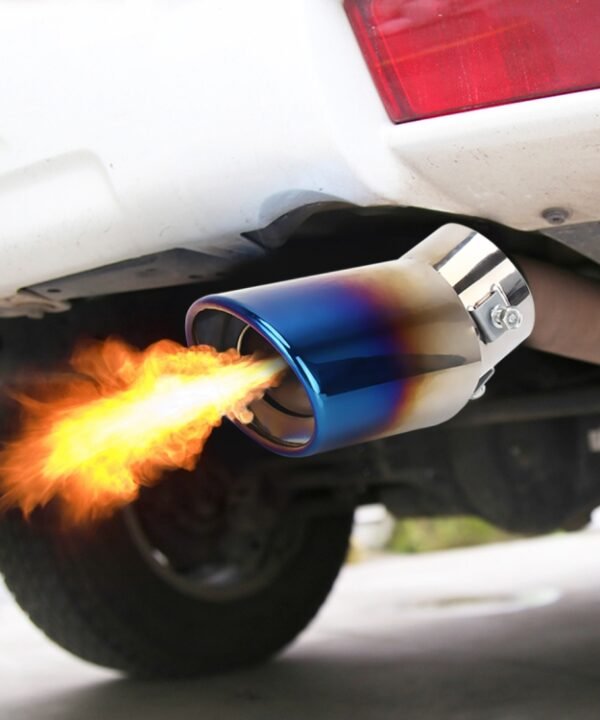 Universal Car Styling Stainless Steel Curved Exhaust Tail Muffler Tip Pipe