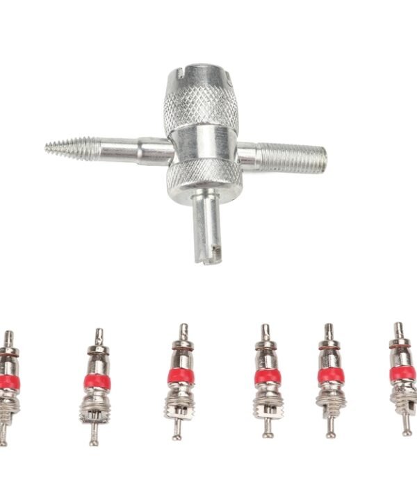 4 in 1 Remover Tool + 6 Car Trunk Motorcycles Tire Valve