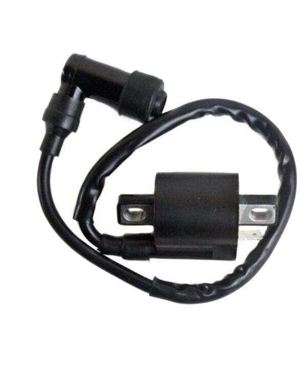 Motorcycle Ignition Coil for 125cc 150cc 200cc High Pressure Coil ATV Quad Dirt Pit Bike