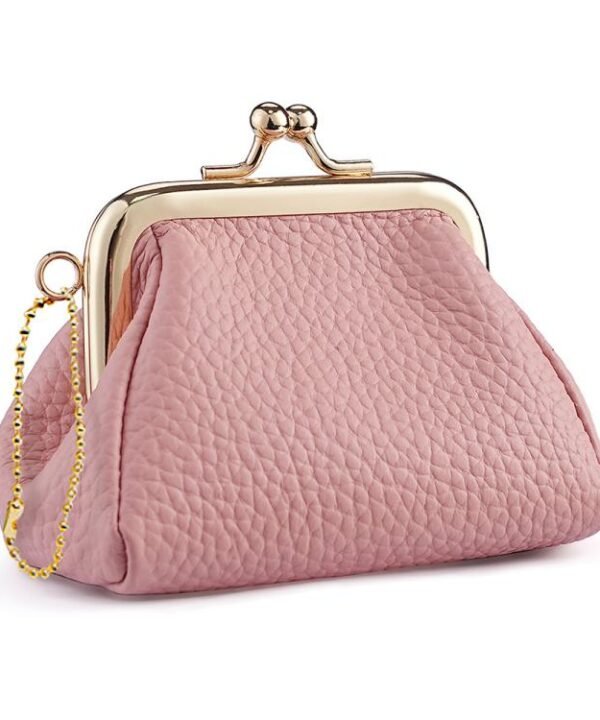 Small Clip Locking Coin Purse