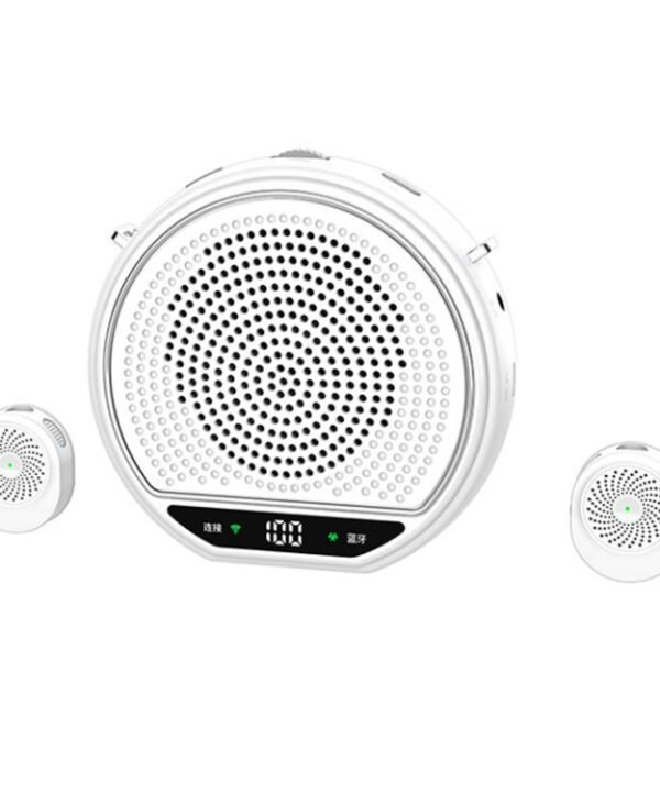 M28 2.5 inch Dual Mic Portable Wireless Lavalier Microphone Teaching Voice Amplifier, M28
