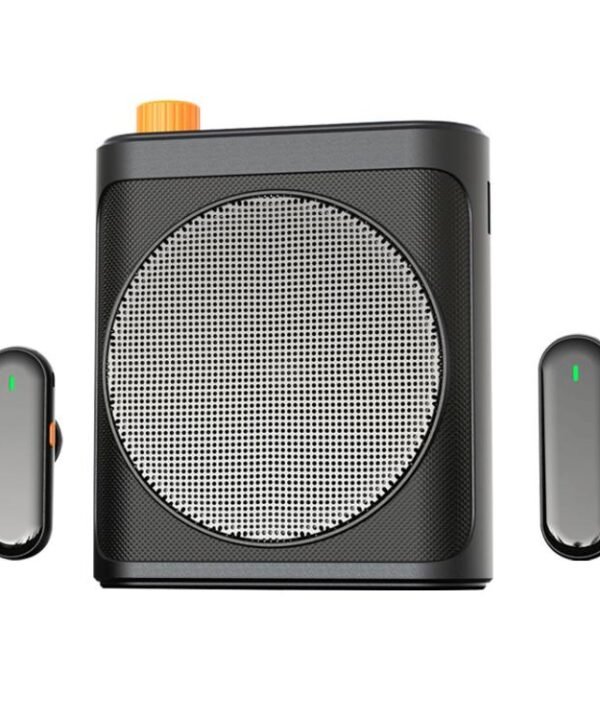 M29 Dual Mic Portable Wireless Lavalier Microphone Teaching Voice Amplifier, M29
