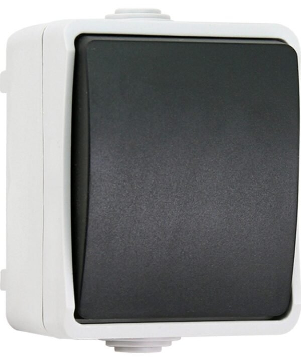 IP44 Waterproof Kitchen Bathroom Single Control Switch, EU Plug