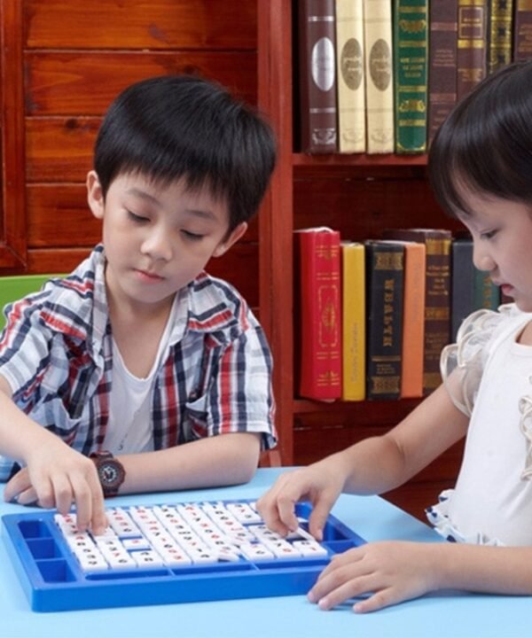 9 x 9 Intelligence Toy Sudoku