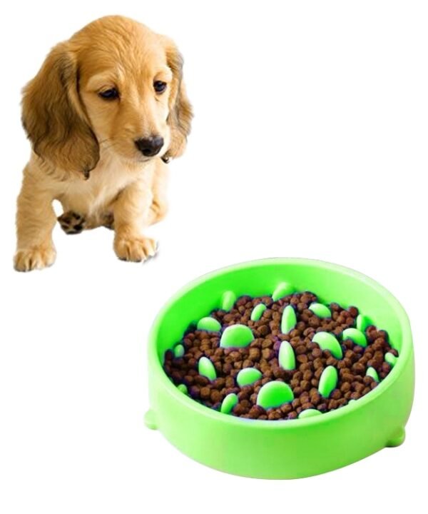 Pet Bowl Preventing Choking PP Bowl, Round Pink, Round Green