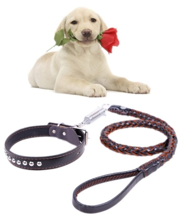 Cowhide Traction Belt Dog Collar Telescopic Dog Rope, Suitable For Medium and Large Dogs, M, Rope Length: 128cm Collar Size: 32-44cm
