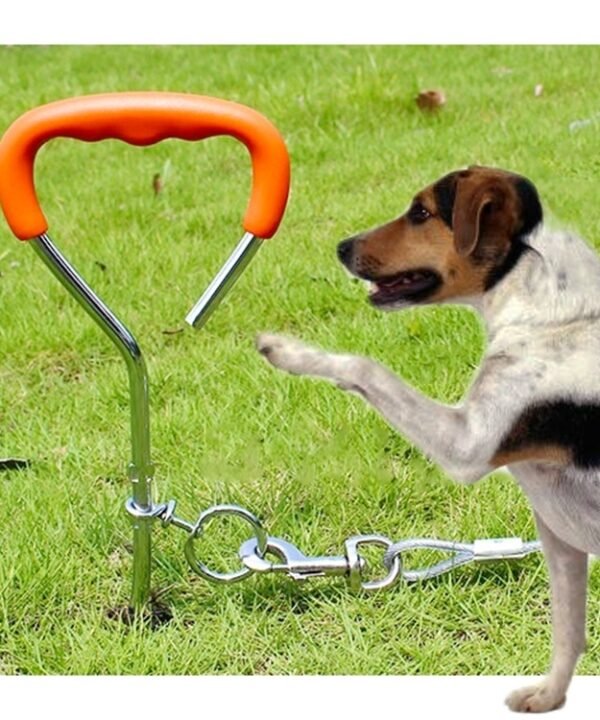 Dog Pile Fixation Spiral Nail with Handle For Medium Small Dog Long Training Outdoor, Size: 45cm*9mm