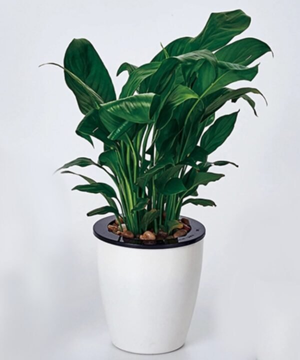 Lazy Flower Pots Automatic Water-absorbing Hydroponic Potted Plants Circular Resin Plastic Flower Pots Double-layer Design Self Watering Planter, Diameter: 13cm, Height: 13.7cm(White)