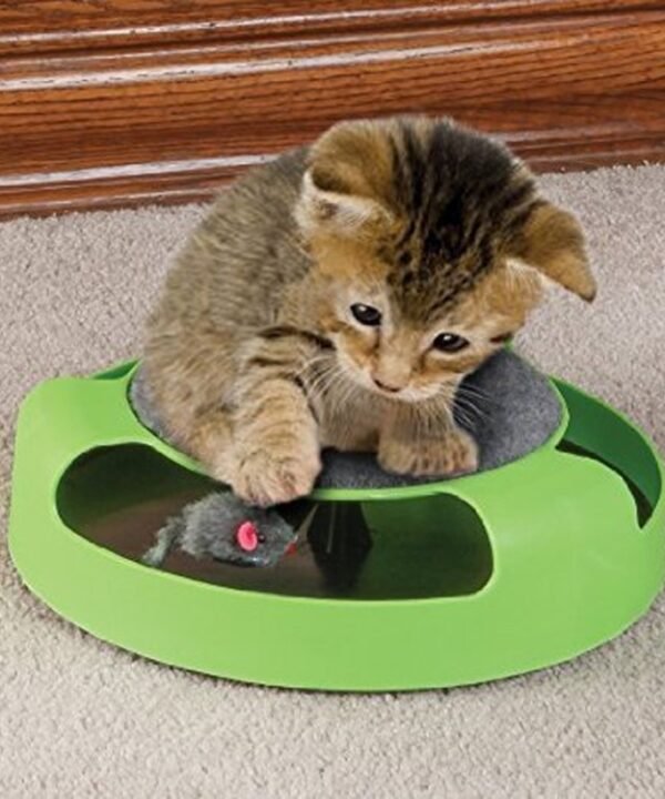 Pet Supplies Cat Plastic Catch the Mouse Interactive Turntable Pet Toys