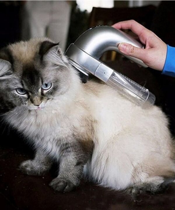 Portable Electric Pet Hair Suction Device Clipper Diagnostic-tool Grooming Pet Brush Comb Removal, Size: 19.0 x 11.0 x 6.0cm