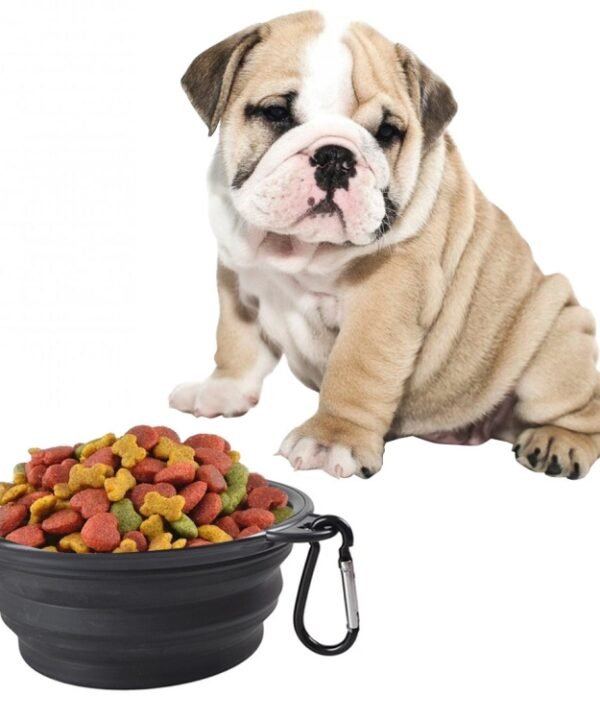 Portable Pet Folding Feeding Bowl Silicone Water Dish Feeder Puppy Travel Bowl, Random Color Delivery, Bowl Diameter: 13cm