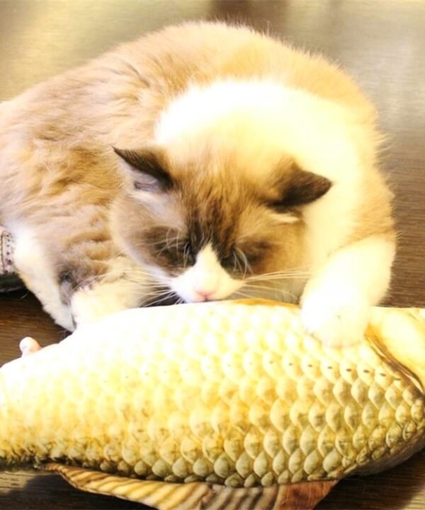 Simulation Fish Toy Funny Cat Toy Fish Stuff Scratching Post Board Toy, Small Size: 21.5 x 8.0 x 5.0cm