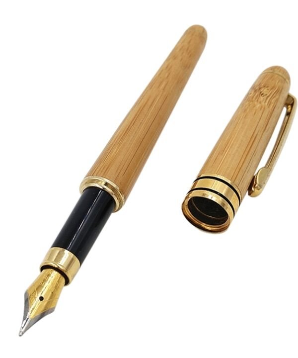 School Office Extra Fine Nib Transparent Piston Bamboo Fountain Ink Pen