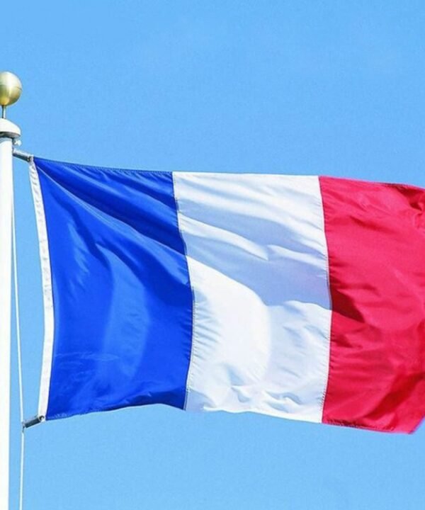 Polyester Material French Flag, Size: 150*90cm
