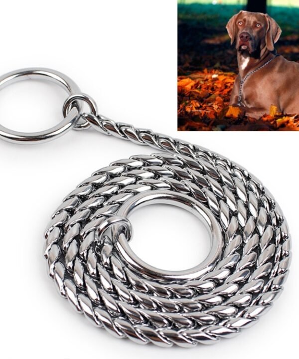 60cm Pet P Chain Pet Collars Pet Neck Strap Dog Neckband Snake Chain Dog Chain Dog Collar