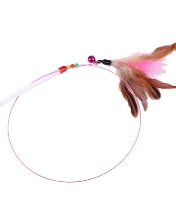 Steel Wire Teasing Feather Wand Pet Toy