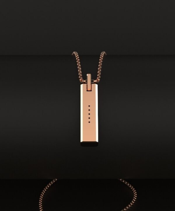 Mijobs Metal Screwless Magnetic Pendant Necklace for Fitbit Flex 2, Host not Included