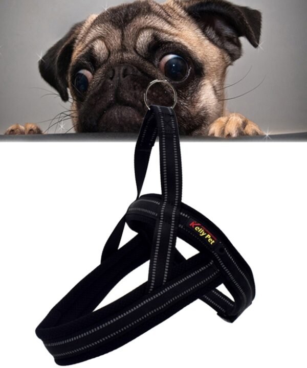 Pet Dogs A7 Reflective Polyester Chest Harness Lead Leash Traction Big Dogs Safety Chain Rope Collar, Size: XS, 2.0*42*50cm, Size: XS, 2.0*42*50cm