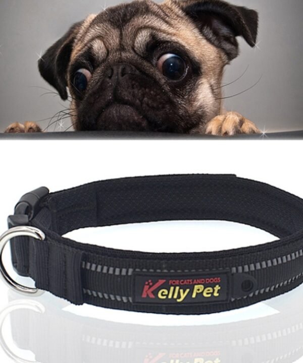 Pet Dogs Polyester Reflective Breathable Pets Collar Traction Lead Leash, Size: S, 2.0*35*40cm, Size: S, 2.0*35*40cm