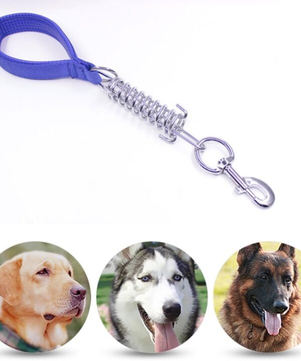Pet Medium Large Dogs Cushion Traction Rope Spring Foam Handle Explosion-proof Short Chain, Size: 3mm*40cm, Foam Width: 2cm, Size: 3mm*40cm, Foam Width: 2cm