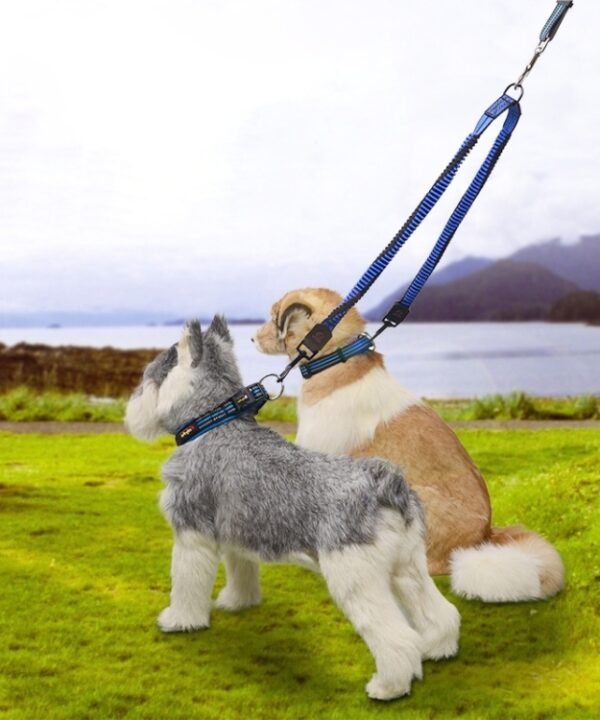 Pet Telescopic Buffer Double Traction Rope Nylon Reflective Braided Rope, Small, Length: 70cm, Random Color Delivery