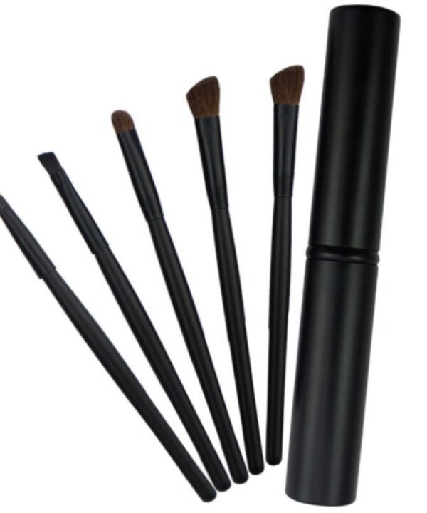5 PCS Handle Eyes Makeup Brush Set with Aluminum Tube