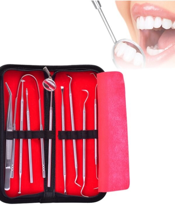 9 In 1 Stainless Steel Dentist Tools Set