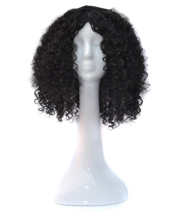 T191006 European and American Wig Headgear with Short and Small Curly Hair for Women
