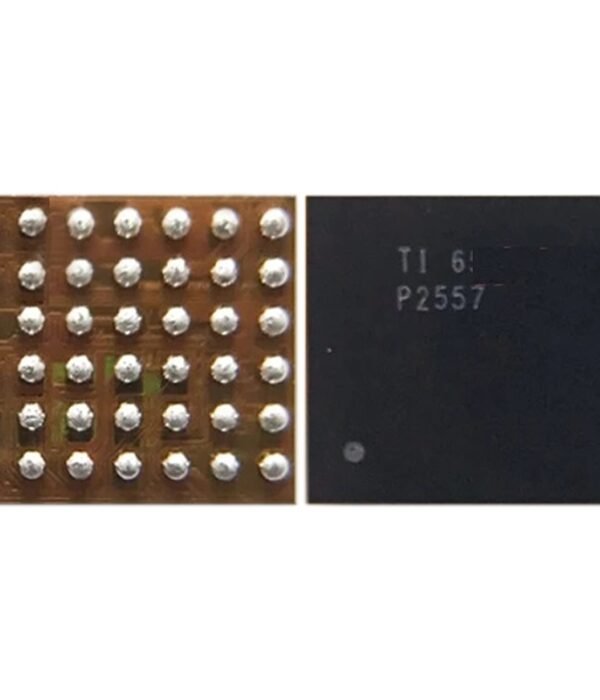 Audio IC Module P2557