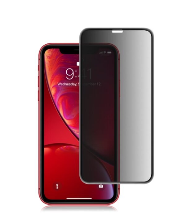 For iPhone 11 / XR mocolo 0.33mm 9H 3D Round Edge Privacy Anti-glare Tempered Glass Film, iPhone XR