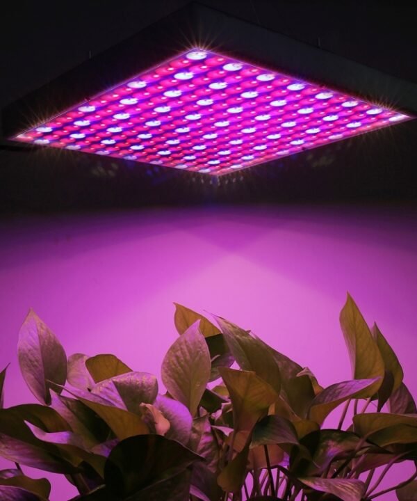 45W SMD 2835 Red + Blue Light LED Plant Growth Light, 225 LEDs Greenhouse Light Aquarium Light, AC 85-265V