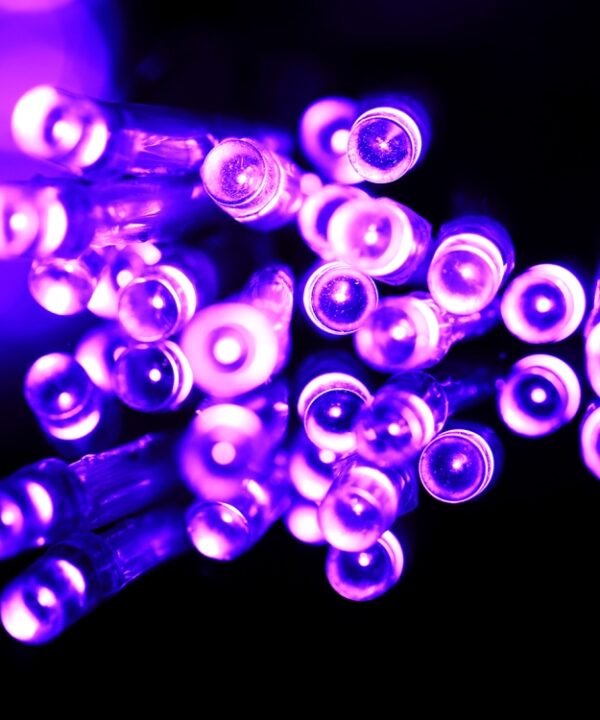 200 LEDs Reticular String Light with End Joint & Multi-function Controller, Purple Light EU Plug, White Light EU Plug, Warm White EU Plug, Yellow Light EU Plug, Blue Light EU Plug, Colorful Light EU Plug
