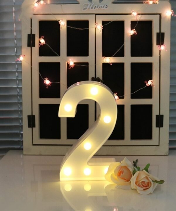 Dry Battery Powered Warm White Standing Hanging Holiday Light, LED6214A, LED6214B, LED6214C, LED6214D, LED6214E, LED6214F, LED6214G, LED6214H, LED6214J, LED6214K