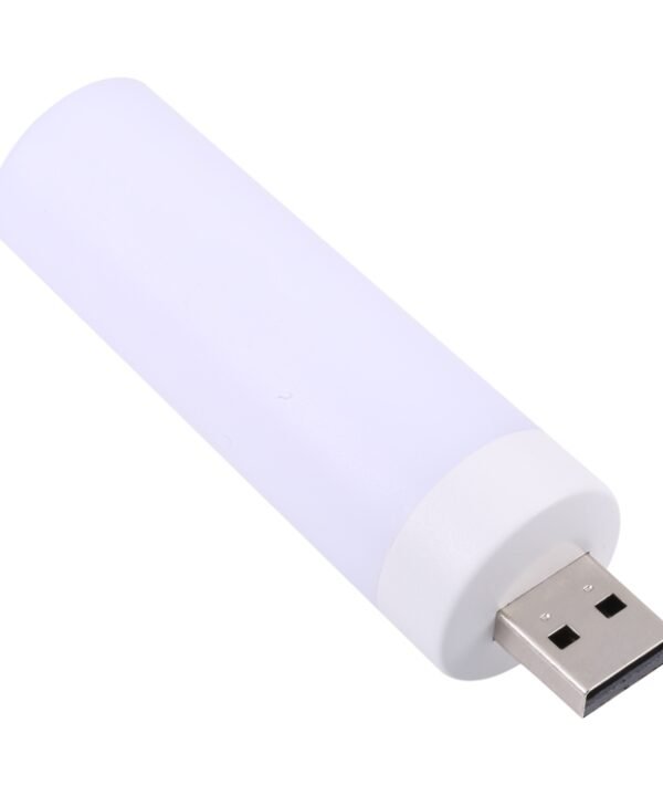 USB LED Flame Lamp Flameless Candles Night Light