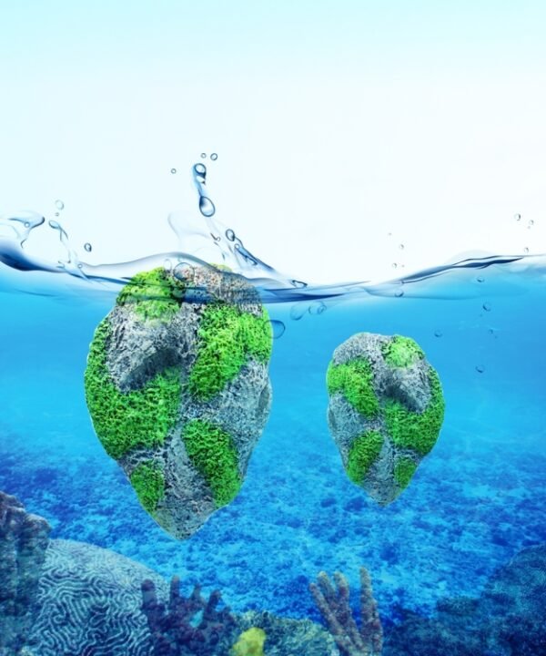 Aquarium Decoration Floating Pumice Suspended Stone Artificial Fish Tank Acuarios Moss Flying Rock Aquatic Ornament Landscape, Large Size: 13.0 x 21.0cm