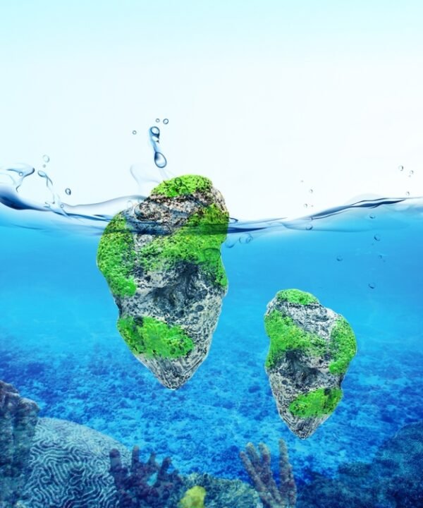 Aquarium Decoration Floating Pumice Suspended Stone Artificial Fish Tank Acuarios Moss Flying Rock Aquatic Ornament Landscape, Middle Size: 8.7 x 14.3cm