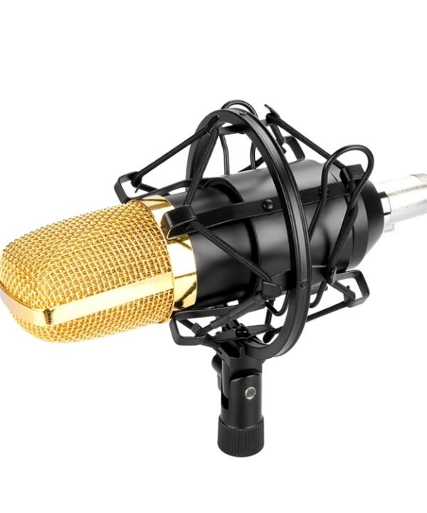 FIFINE F-700 Professional Condenser Sound Recording Microphone with Shock Mount for Studio Radio Broadcasting & Live Boardcast, 3.5mm Earphone Port, Cable Length: 2.5m