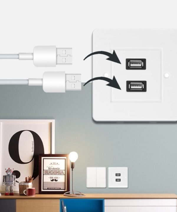 Dual USB 2.0 Female Plugs Home Wall Charger Plate Wall Plate Panel