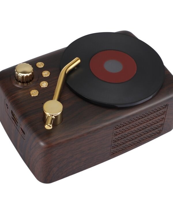 Retro Style Bluetooth Speaker, Built-in High-sensitivity FM Receiving Antenna, Long-term Voyage
