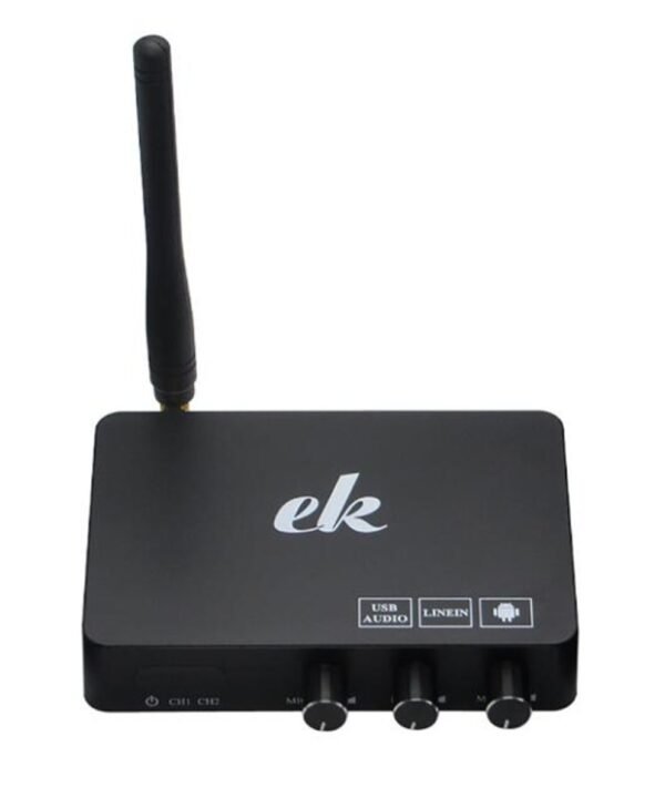 Home TV Network Karaoke Singing Equipment Set Sound Card Wireless Microphone Computer Karaoke KTV Set-top Box, black