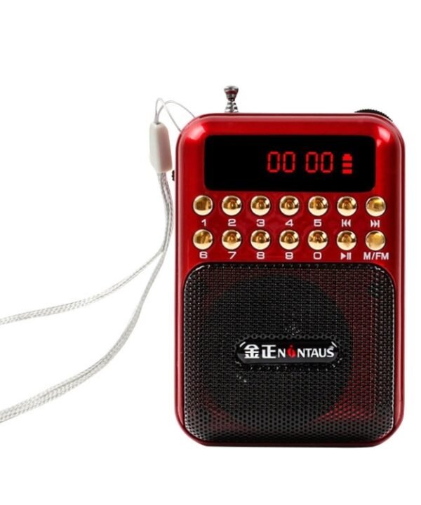 Portable Rechargeable FM Radio Receiver Speaker, Support USB / TF Card / Music MP3 Player