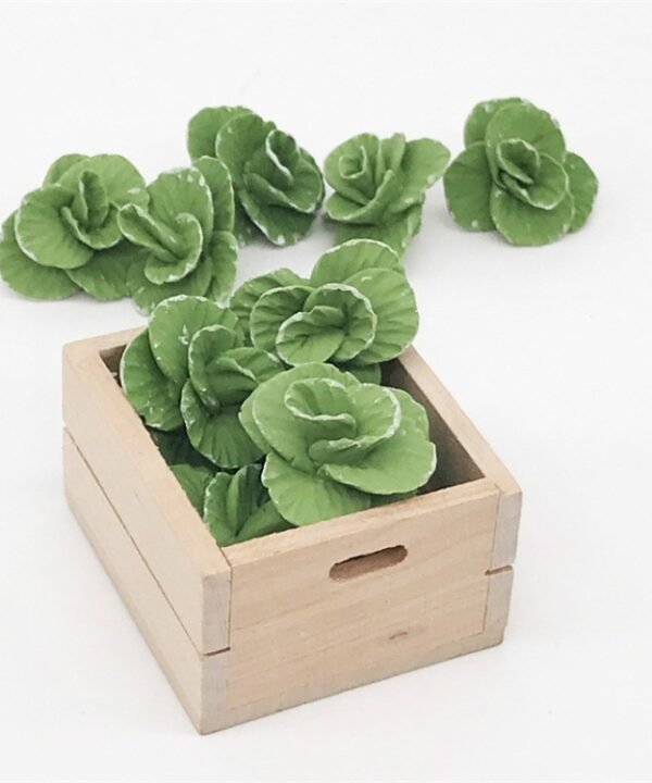 5 PCS 1:12  Mini House Toy Vegetable Simulation Cabbage Kitchen Accessory Mini House Toy, 5 PCS Cabbage