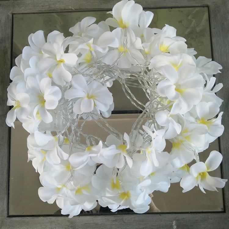 1.5m 10 LEDs Battery Powered Warm White Creative DIY Frangipani LED String Lights Floral Holiday Lighting Event Party Garland Bedroom Decoration - Image 2